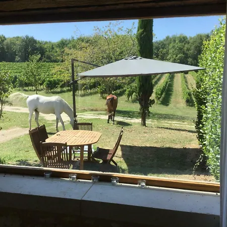 Les Terrasses *